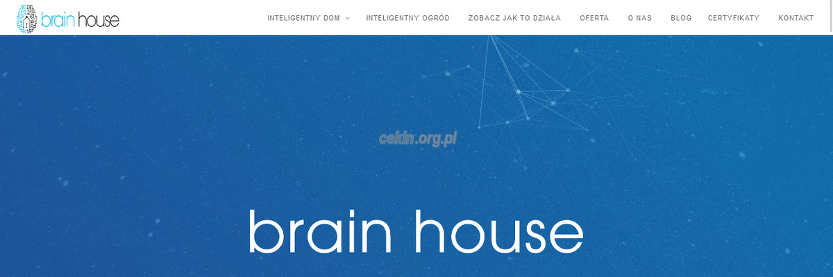 brain-house strona www