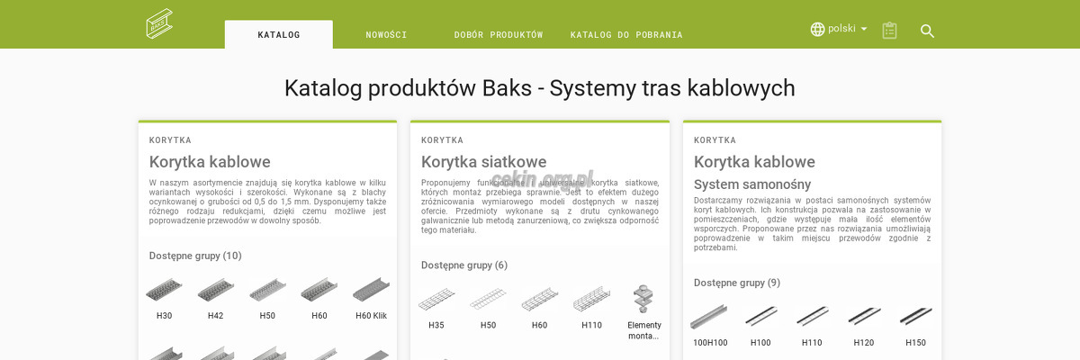 baks-kazimierz-sielski-2 - zrzut strony internetowej
