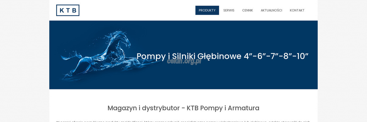 ktb-pompy-i-armatura-sp-z-o-o strona www