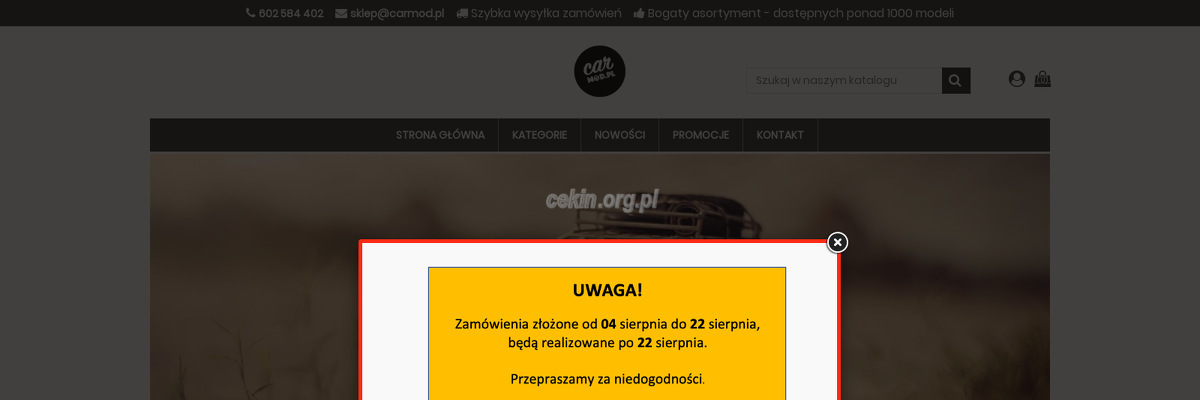 carmod-pl - zrzut strony internetowej