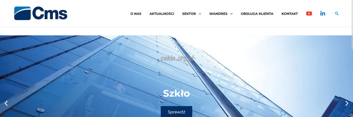 cms-polska-sp-z-o-o strona www