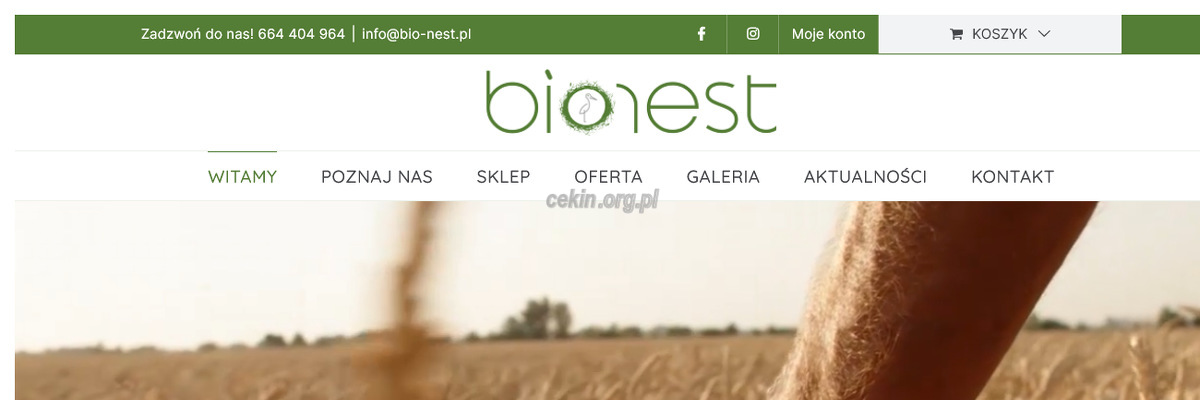 bionest-sp-z-o-o strona www