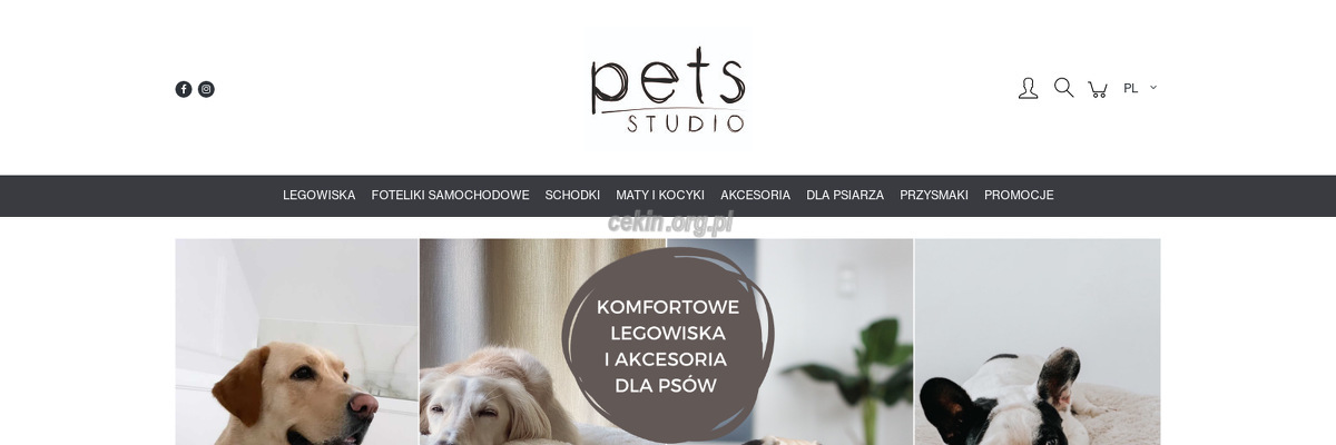 pets-studio strona www