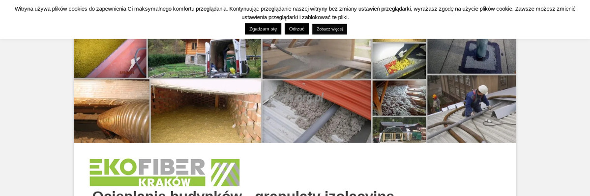 firma-budowlano-inzynieryjna-ekofiber-krakow strona www