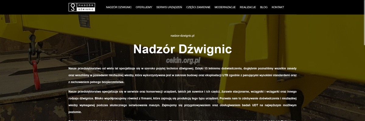 lukasz-szpryniecki-nadzor-dzwignic-sp-z-o-o strona www