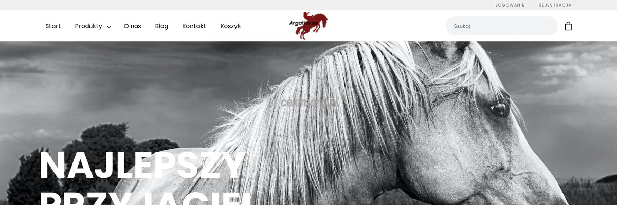 mariusz-rekus-auto-handel-eksport-import-argo-horse strona www