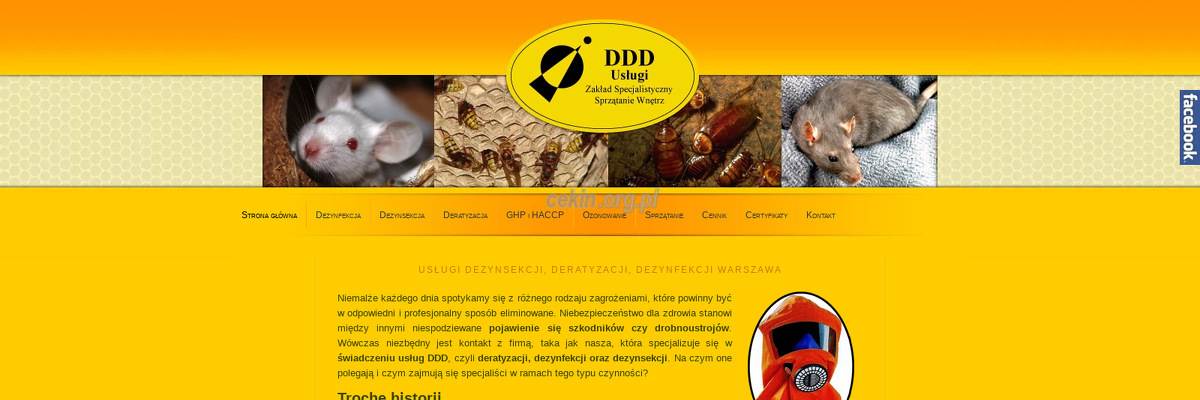zaklad-specjalistyczny-uslugi-ddd strona www