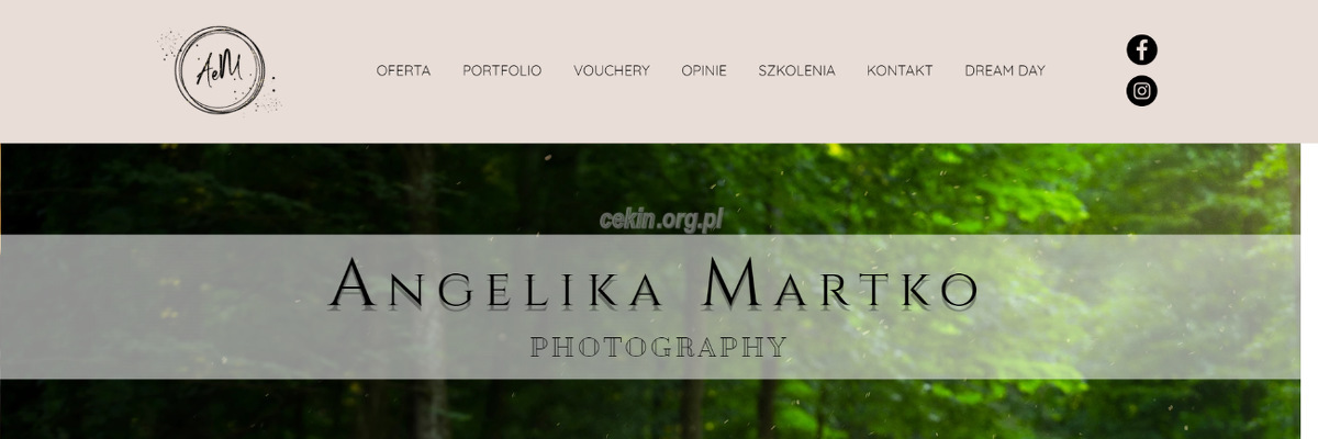 angelika-martko-fotografia-slubna-i-portretowa strona www