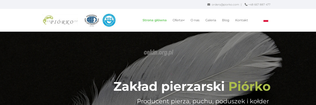 piorko-skup-i-sprzedaz-pierza-import-export-tomasz-lewandowski - zrzut strony internetowej