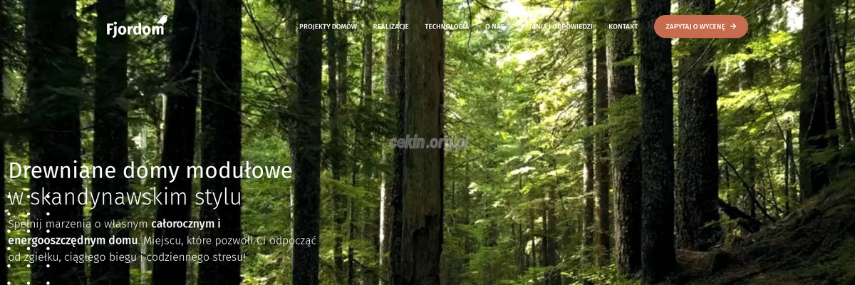 fjordom - zrzut strony internetowej