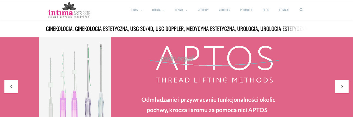 initma-art-este - zrzut strony internetowej