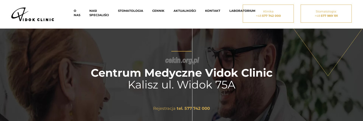 vidok-clinic - zrzut strony internetowej