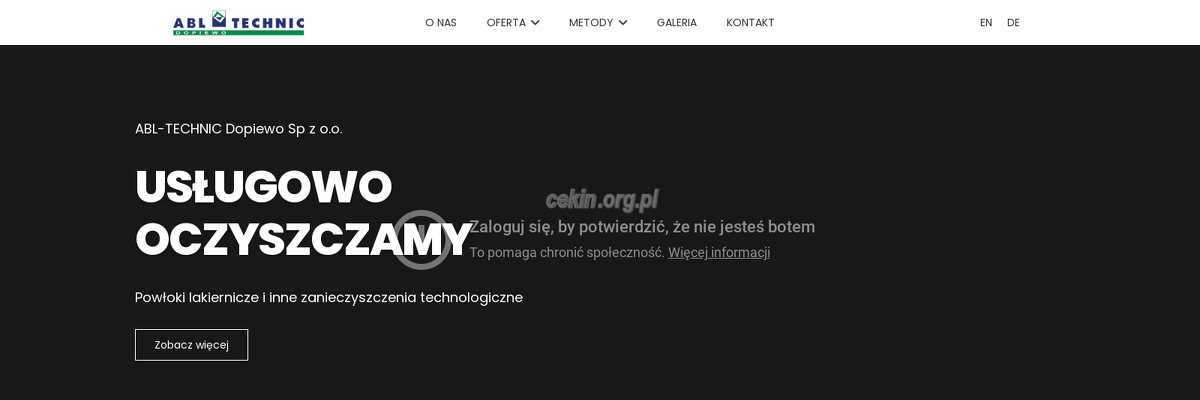 wielkopolska-technika-powierzchniowa-sp-z-o-o - zrzut strony internetowej