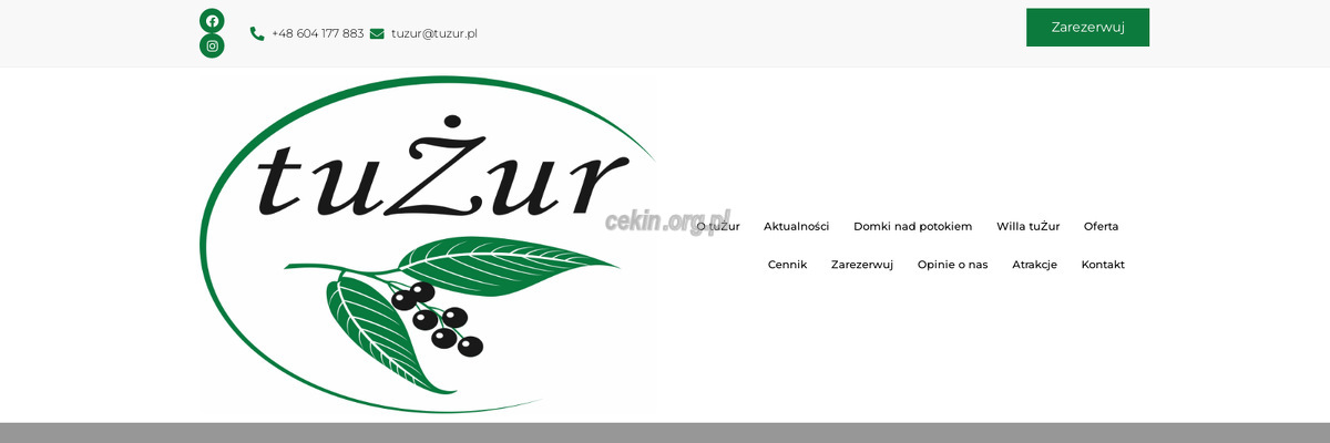tuzur-marzena-fryszka - zrzut strony internetowej