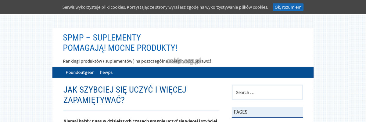 international-project-management-association-polska strona www