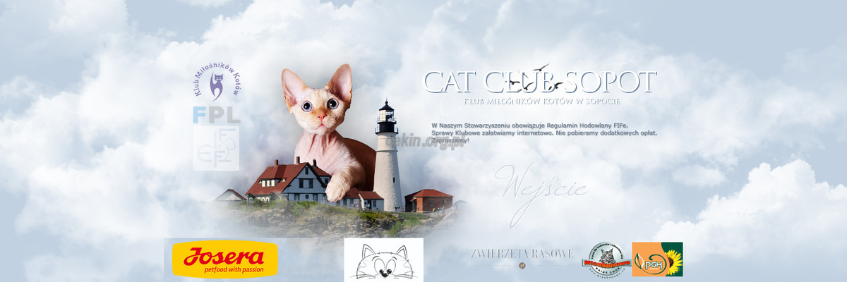 cat-club-sopot-klub-milosnikow-kotow strona www