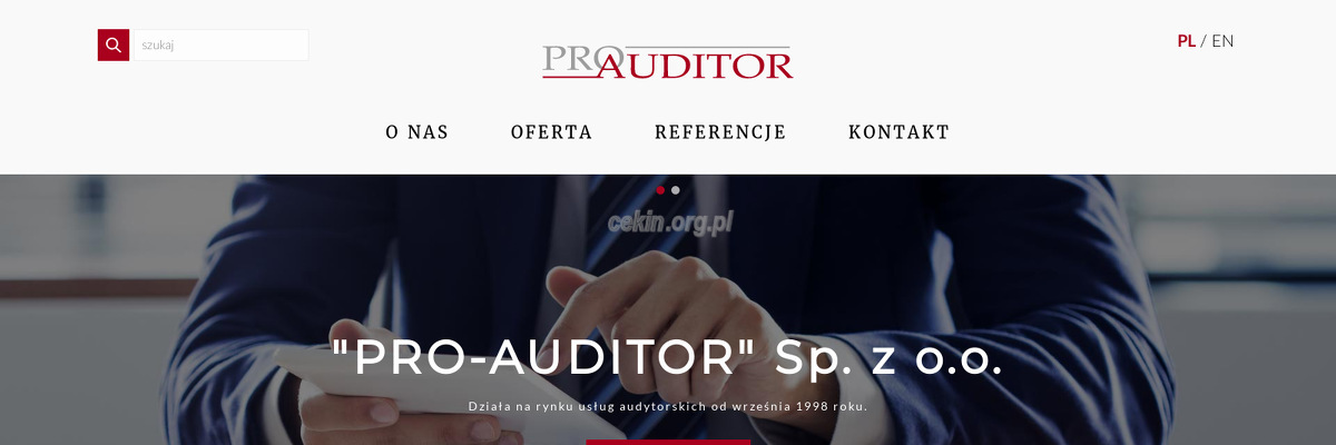 pro-auditor-sp-z-o-o strona www