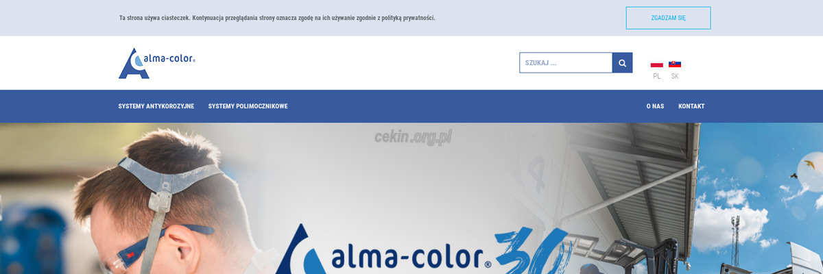 alma-color-sp-z-o-o - zrzut strony internetowej