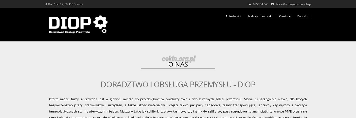 diop-doradztwo-i-obsluga-przemyslu strona www