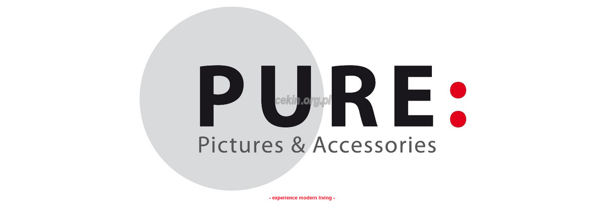 pure-pictures-accessories-sp-z-o-o strona www