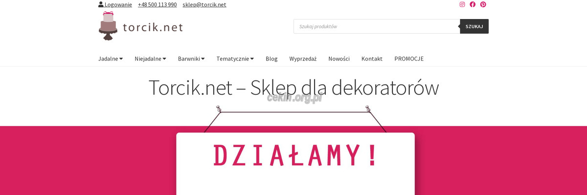 torcik-net-piotr-jakimowicz strona www